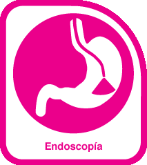ENDOSCOPÍA