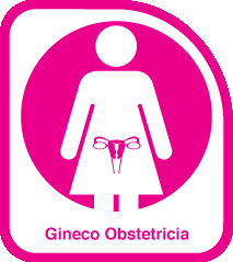 GINECO OBSTETRICIA