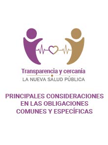 Principales consideraciones en las Obligaciones de Transparencia